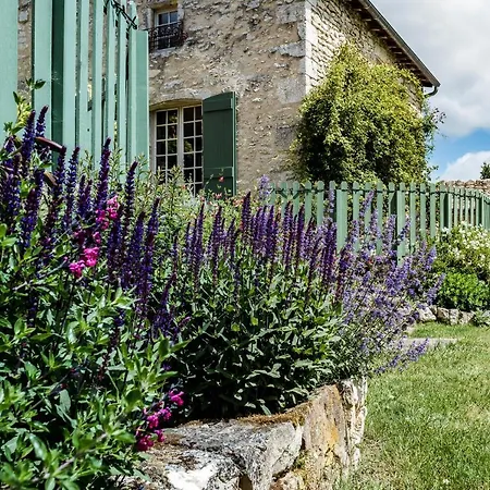 Villa Chateau De Puissentut Homps (Aude)